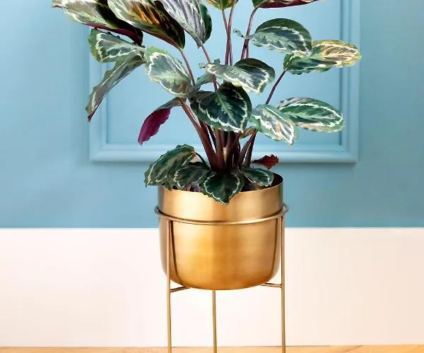 Hm - Infante Riverside M Lejlighed *